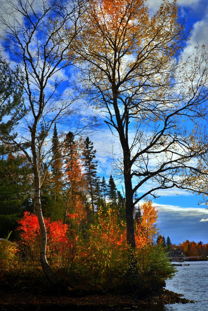 Québec automne