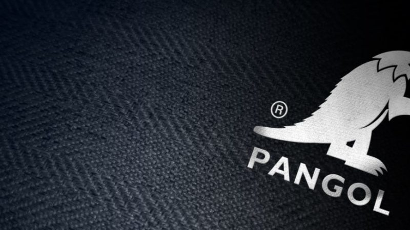 Pangol, une marque pensée autour du Pangolin