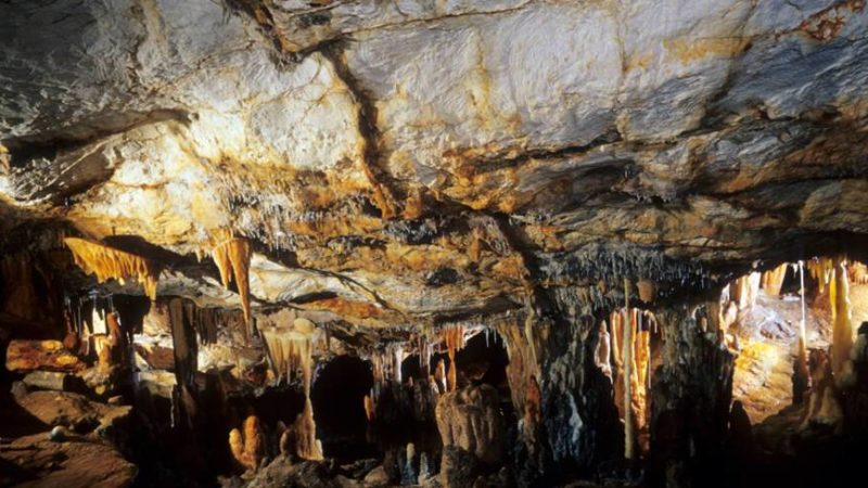 La grotte Cosquer : un patrimoine français