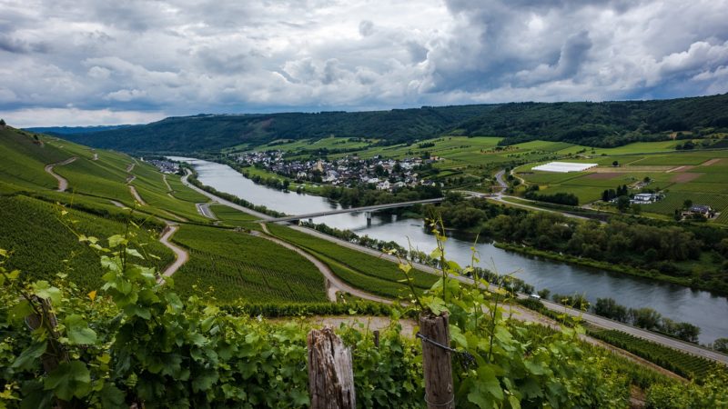 La Moselle et ses spécialités