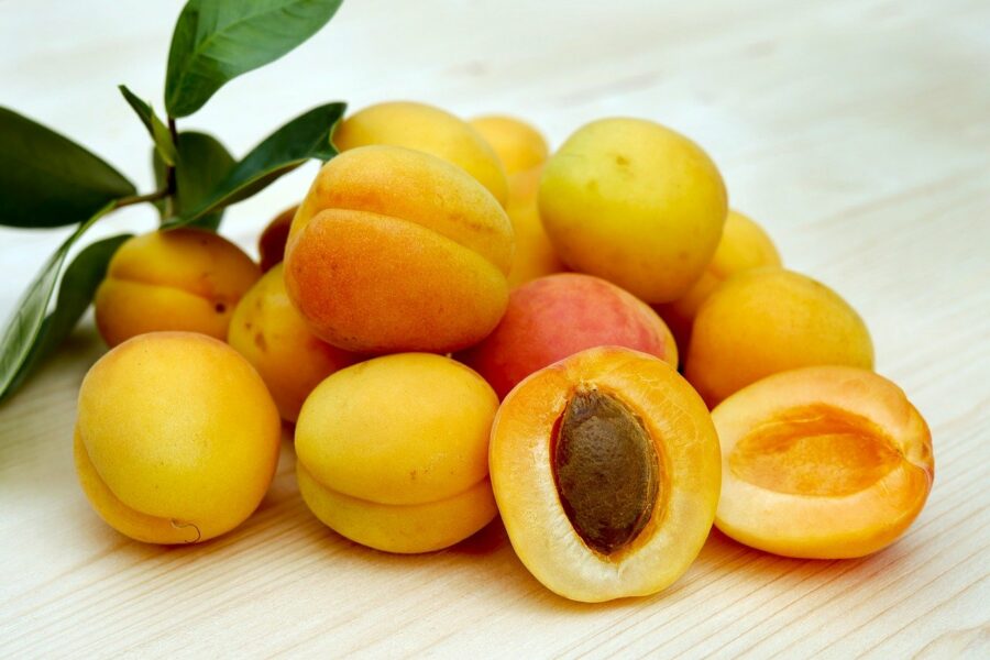 huile noyau abricot
