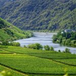 Moselle tourisme voyage
