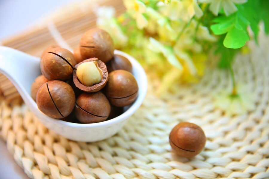 La noix de macadamia dans notre quotidien