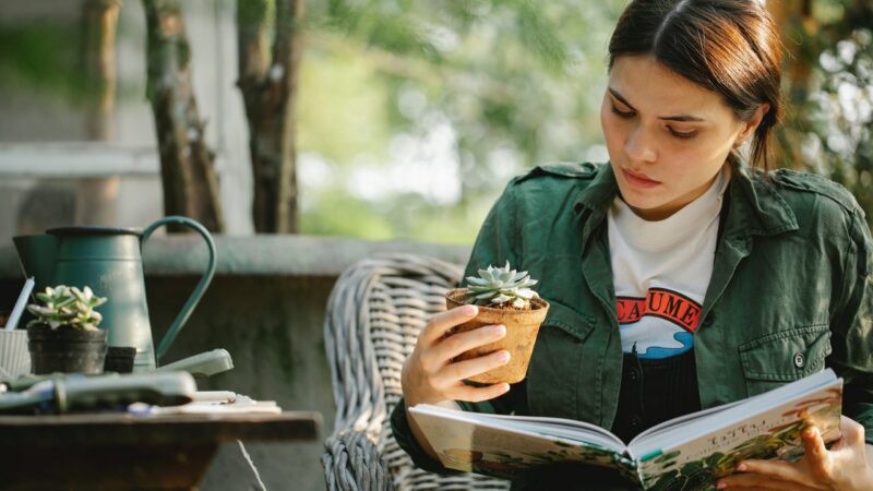 Quels livres pour apprendre la botanique ?