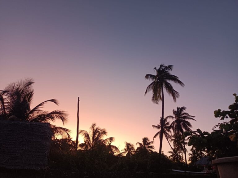 Zanzibar, l'île paradisiaque au large de la Tanzanie