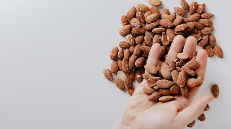Amandes : étude sur la récupération musculaire et la fatigue