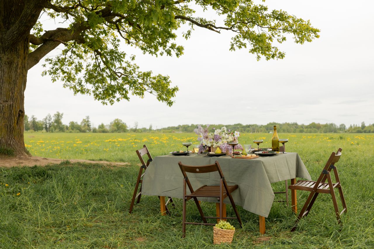 picnic en extérieur avec table pliante